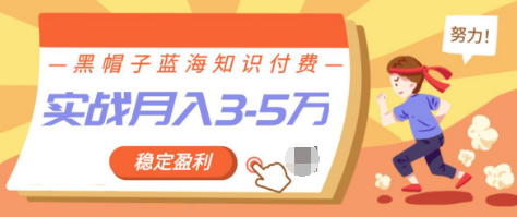 黑帽子蓝海知识付费项目,持续稳定盈利,实战月入3-5w项目