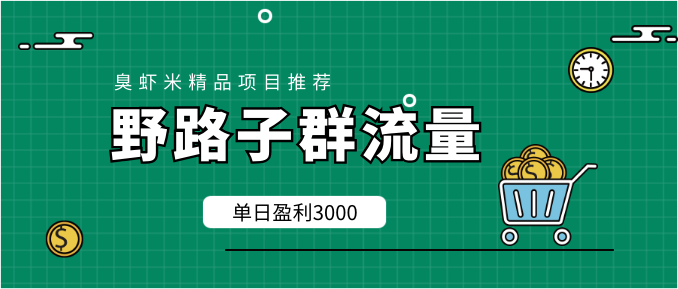 野路子群流量项目:稳定之后可实现日盈利3000-5000,轻松实现月入3万+