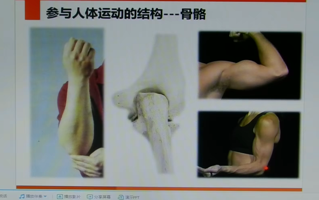 李'哲'讲《脊椎解剖》脊椎骨功能视频13集
