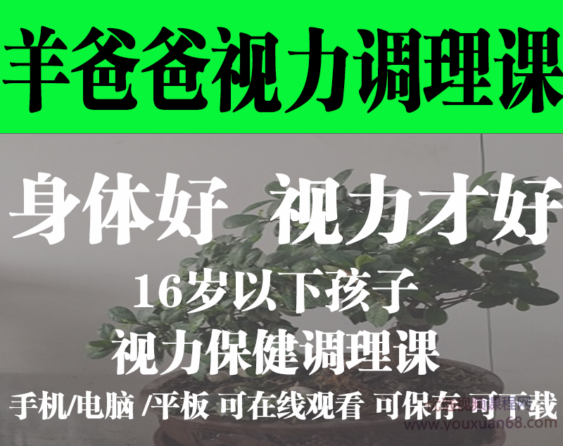 羊爸爸16岁以下孩子的视力保健调理课