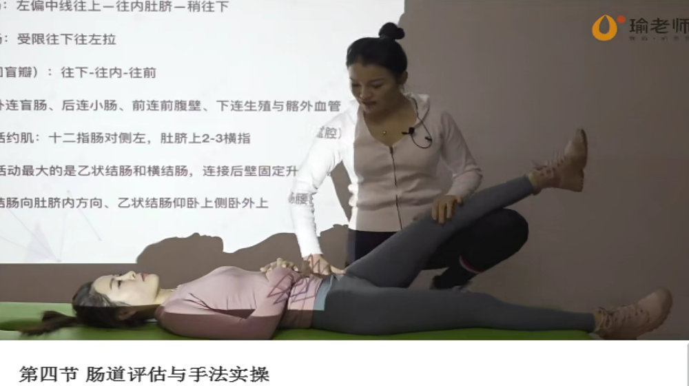 瑜老师 张美玲 内脏筋膜实操手法精讲系统课程