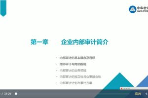 中华：内部审计讲解课程（视频11集）