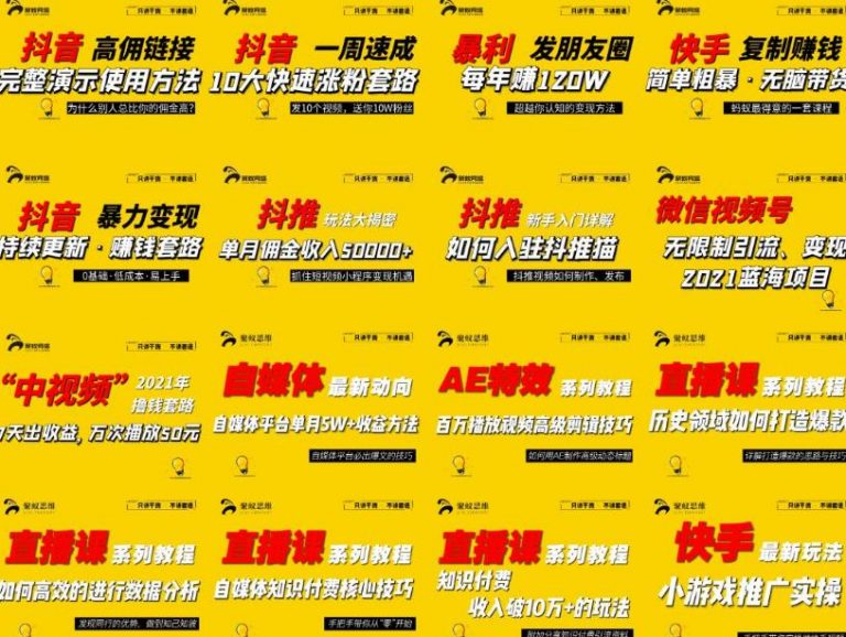 聚蚁思维高级合伙人vip会员课程合集,帮助上万人通过短视频变现益利