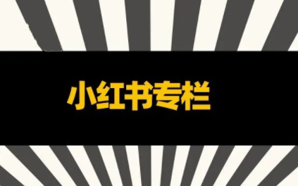 品牌医生·小红书全链营销干货